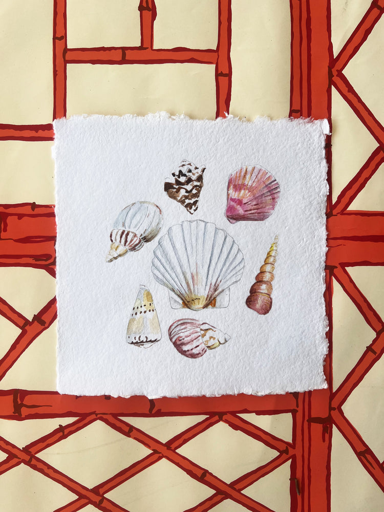 Watercolor Shell Collection 1