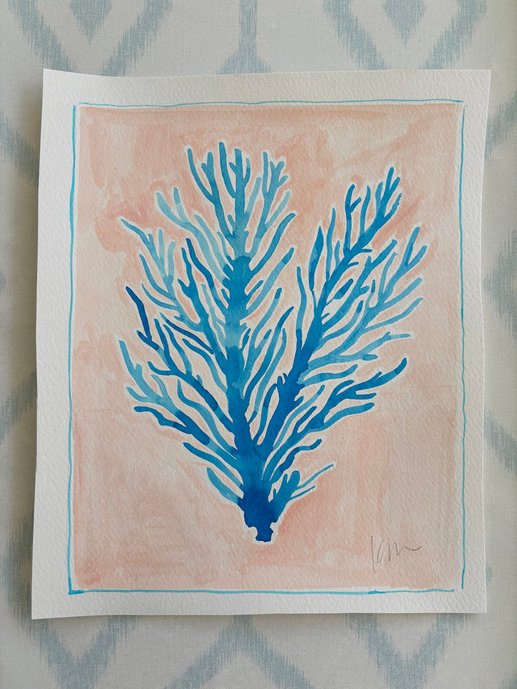 Blue Coral