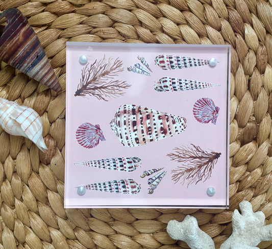 Pink Shell Block