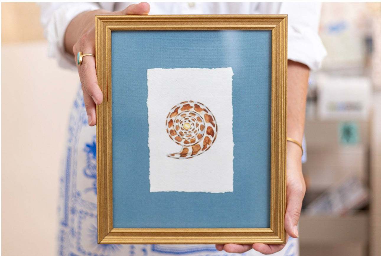 Watercolor Shell Painting 4x6 on Paper Framed
