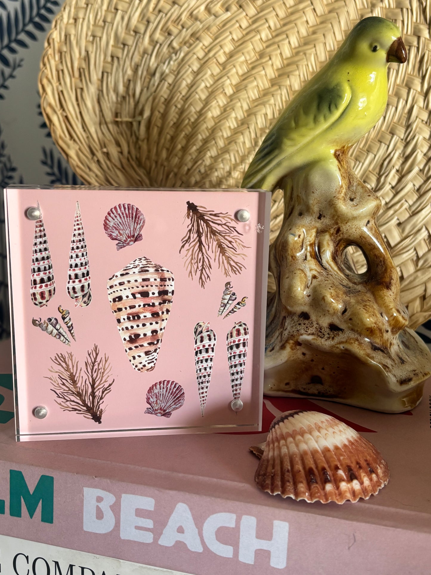 Pink Shell Block