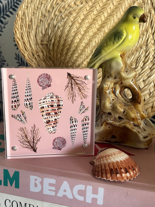 Pink Shell Block