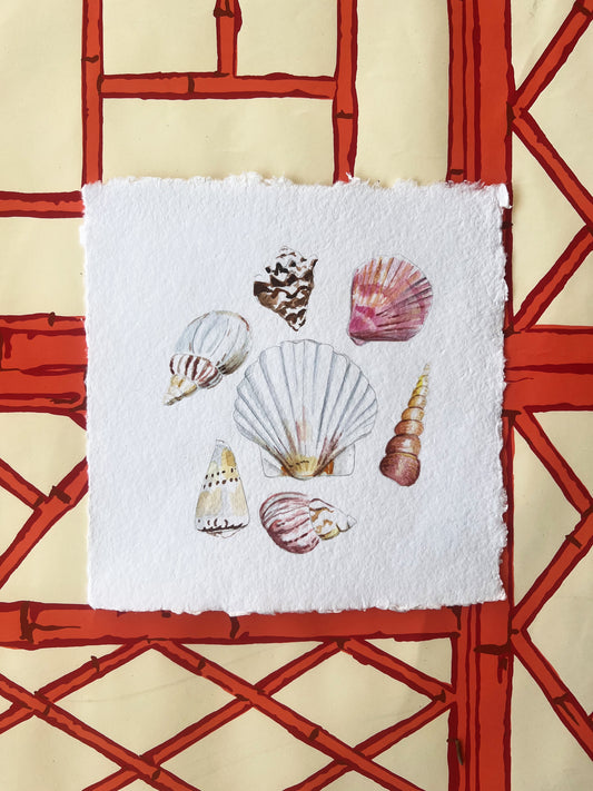 Sea Shell Watercolor Workshop at House on Lang 6/22