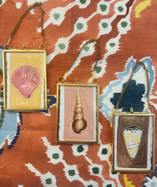 Tiny Shell Treasures